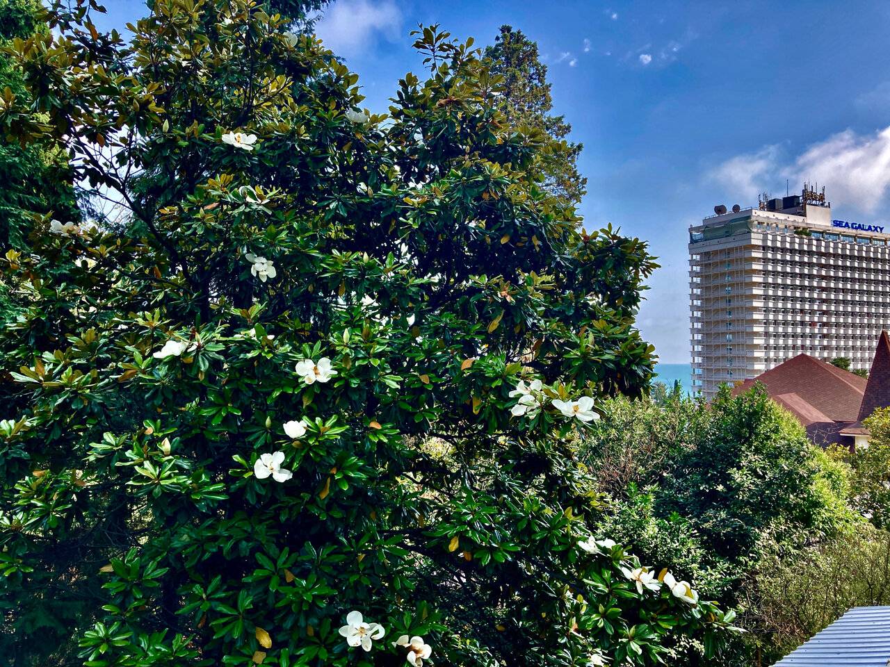 Фото Апартаментов Golden Holiday Сочи 34